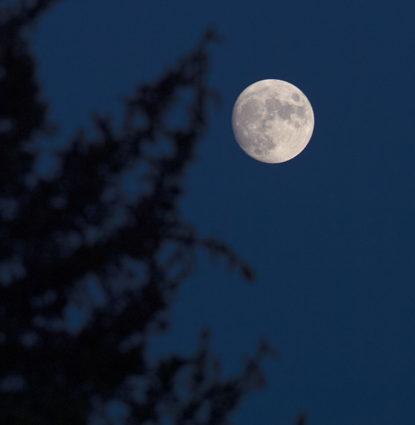 Moon Rise